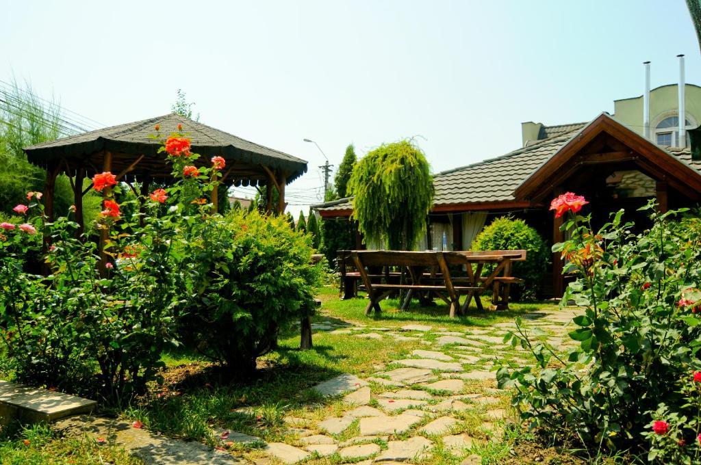 Pension La Cupola Târgu-Mureş エクステリア 写真