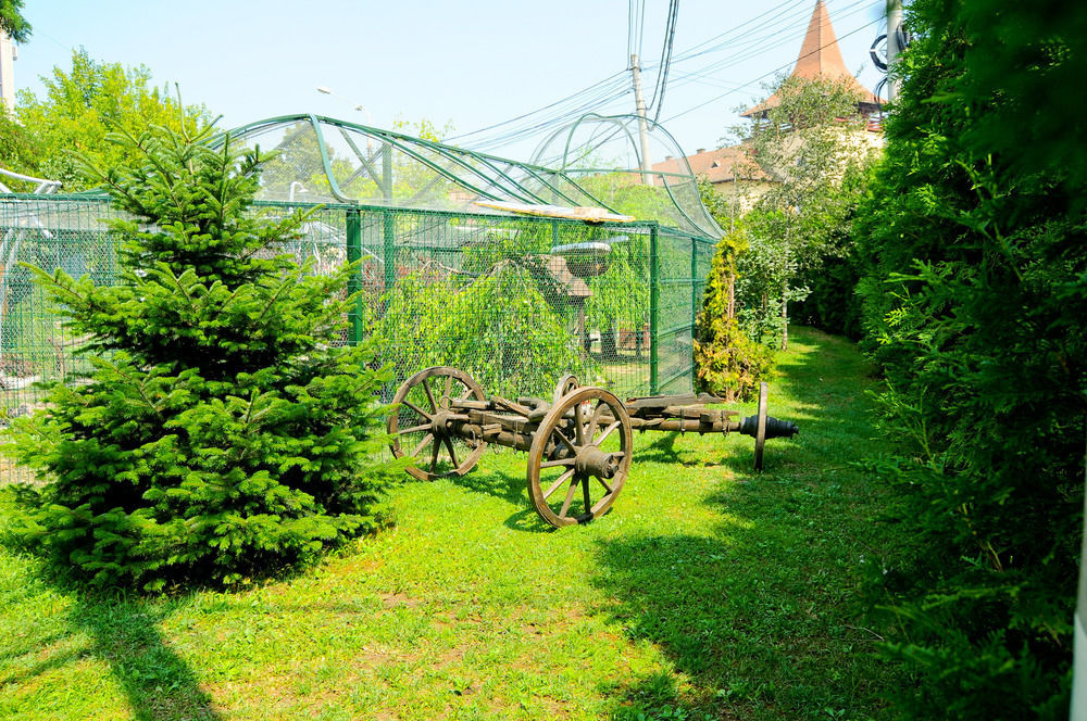 Pension La Cupola Târgu-Mureş エクステリア 写真