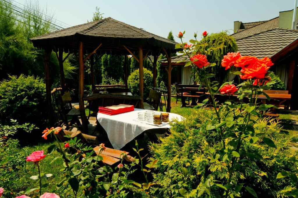 Pension La Cupola Târgu-Mureş エクステリア 写真