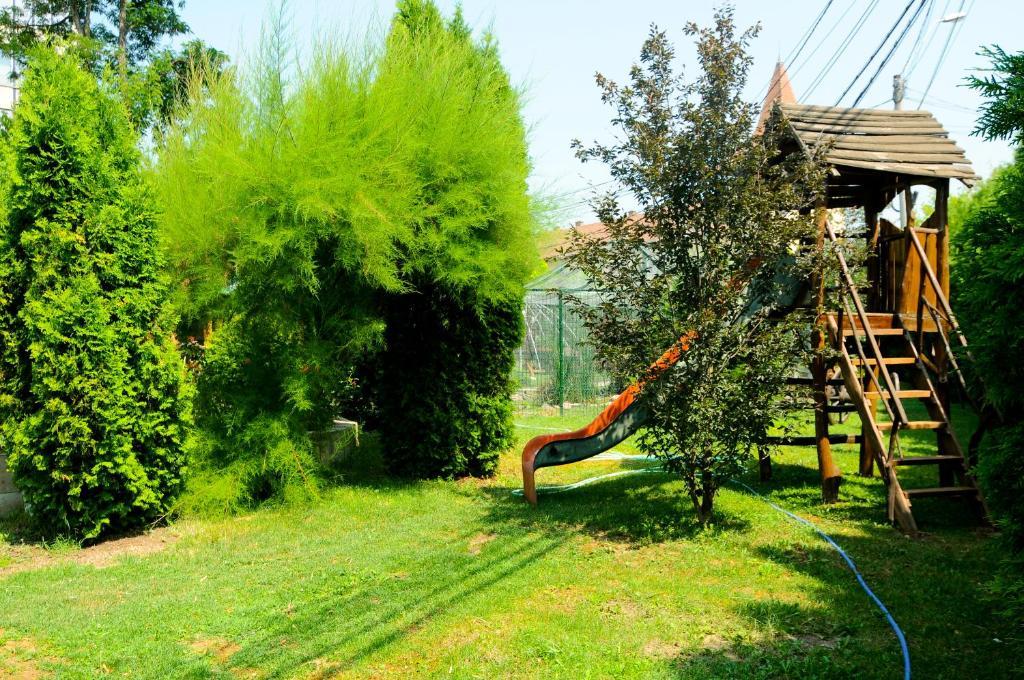 Pension La Cupola Târgu-Mureş エクステリア 写真